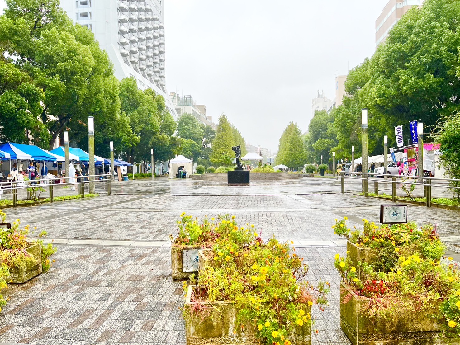 大通り