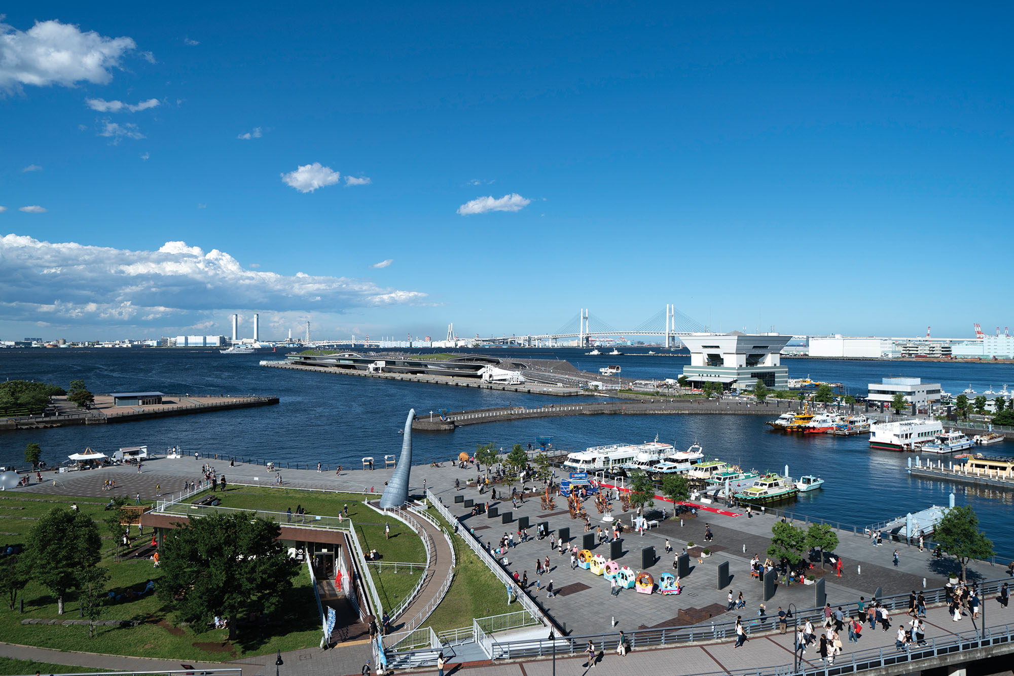像の鼻